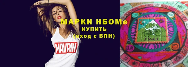 прущие крисы Бородино