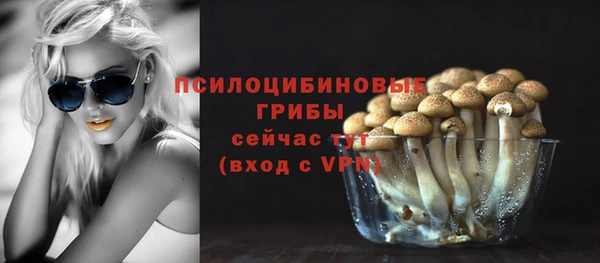 прущие крисы Бородино
