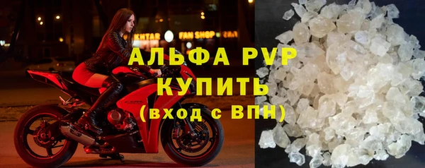 прущие крисы Бородино